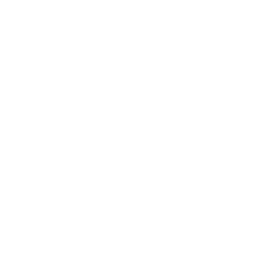Fraudio Holding